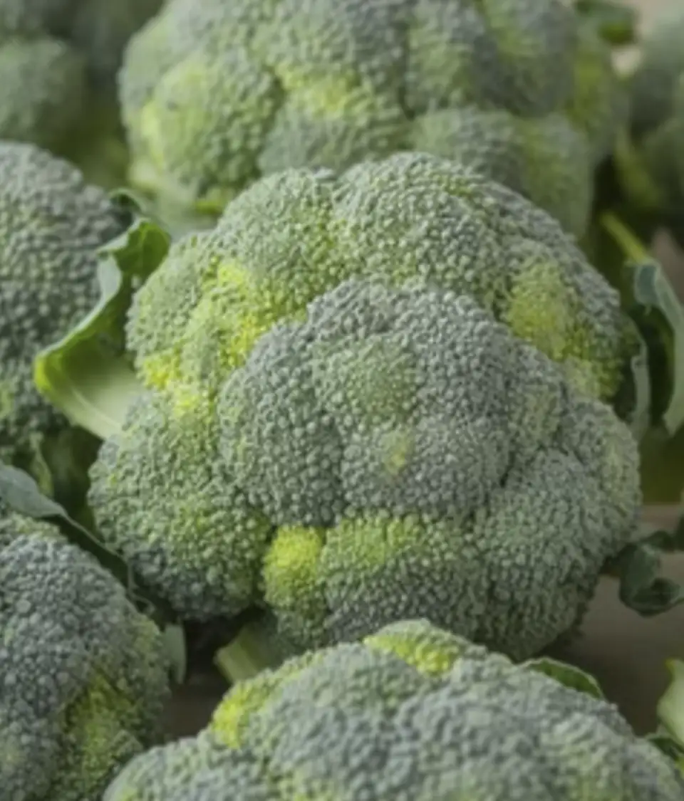 empaques flexibles para alimentos