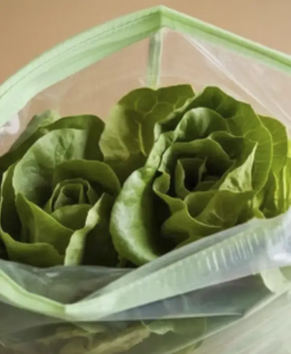 Soluciones personalizadas para tu éxito en bolsas para alimentos
